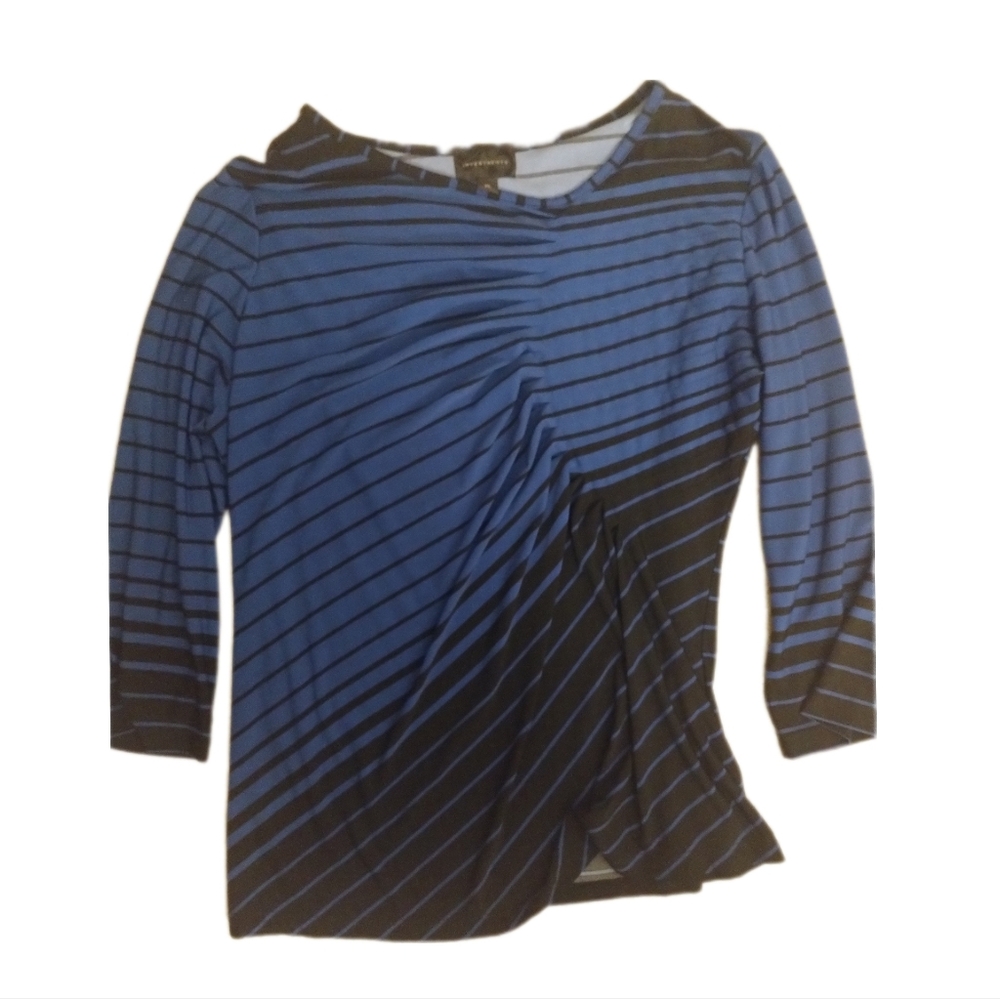 Investments Blue and Black long sleeved blouse